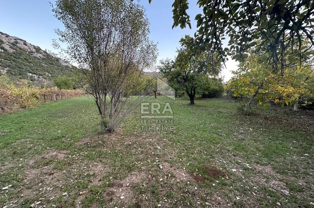 ANTALYA İBRADI YUKARI MAHALLE SATILIK TEK TAPU TARLA