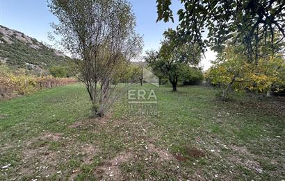 ANTALYA İBRADI YUKARI MAHALLE SATILIK TEK TAPU TARLA