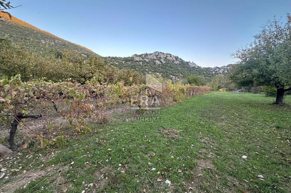 ANTALYA İBRADI YUKARI MAHALLE SATILIK TEK TAPU TARLA