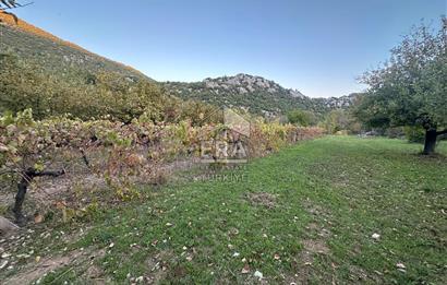 ANTALYA İBRADI YUKARI MAHALLE SATILIK TEK TAPU TARLA