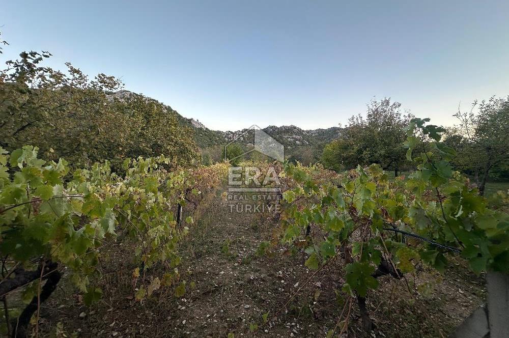 ANTALYA İBRADI YUKARI MAHALLE SATILIK TEK TAPU TARLA