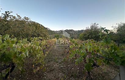 ANTALYA İBRADI YUKARI MAHALLE SATILIK TEK TAPU TARLA