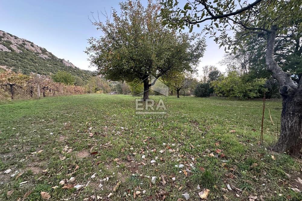 ANTALYA İBRADI YUKARI MAHALLE SATILIK TEK TAPU TARLA