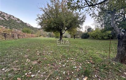 ANTALYA İBRADI YUKARI MAHALLE SATILIK TEK TAPU TARLA