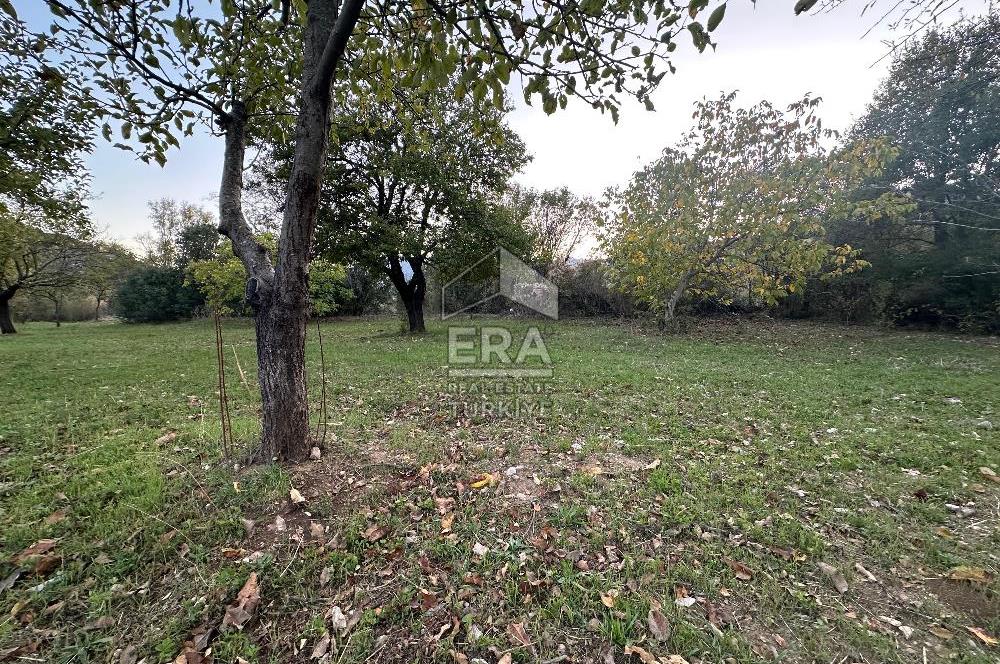 ANTALYA İBRADI YUKARI MAHALLE SATILIK TEK TAPU TARLA