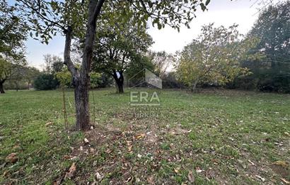 ANTALYA İBRADI YUKARI MAHALLE SATILIK TEK TAPU TARLA