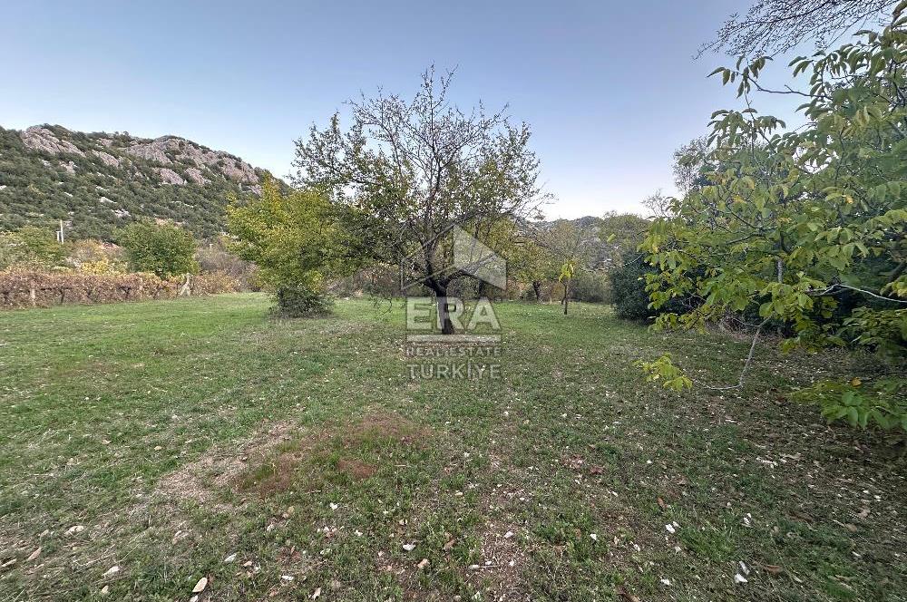 ANTALYA İBRADI YUKARI MAHALLE SATILIK TEK TAPU TARLA