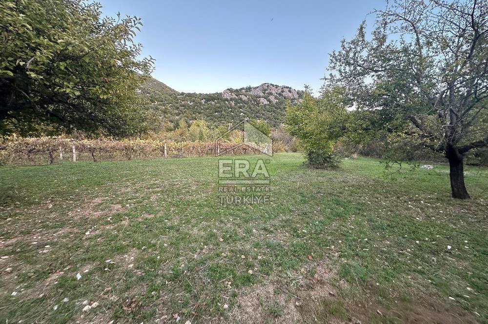 ANTALYA İBRADI YUKARI MAHALLE SATILIK TEK TAPU TARLA