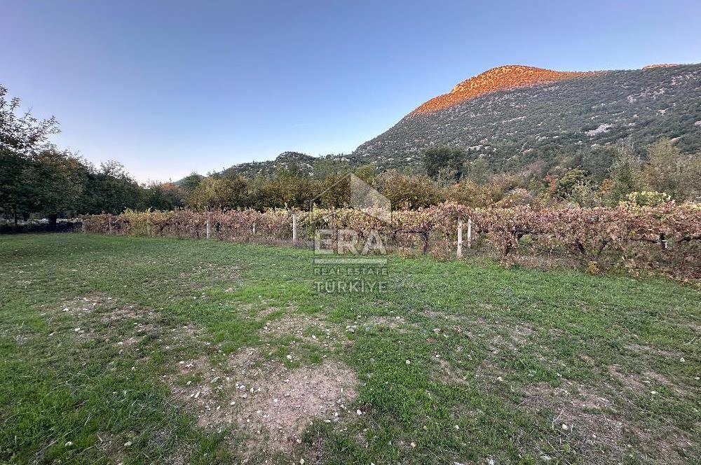 ANTALYA İBRADI YUKARI MAHALLE SATILIK TEK TAPU TARLA