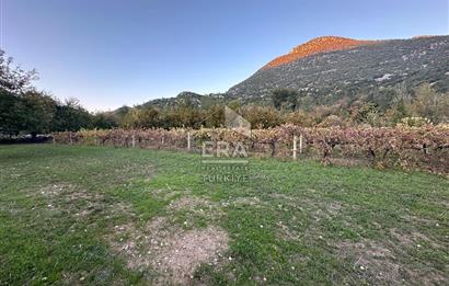 ANTALYA İBRADI YUKARI MAHALLE SATILIK TEK TAPU TARLA