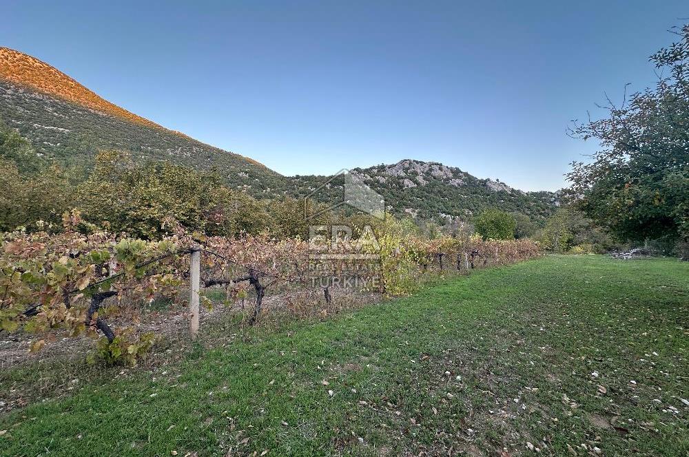 ANTALYA İBRADI YUKARI MAHALLE SATILIK TEK TAPU TARLA