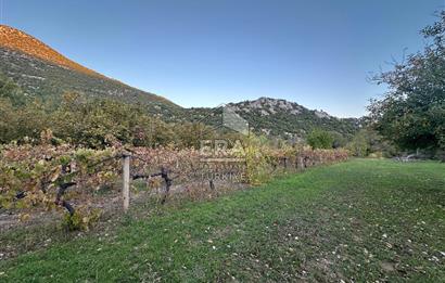 ANTALYA İBRADI YUKARI MAHALLE SATILIK TEK TAPU TARLA