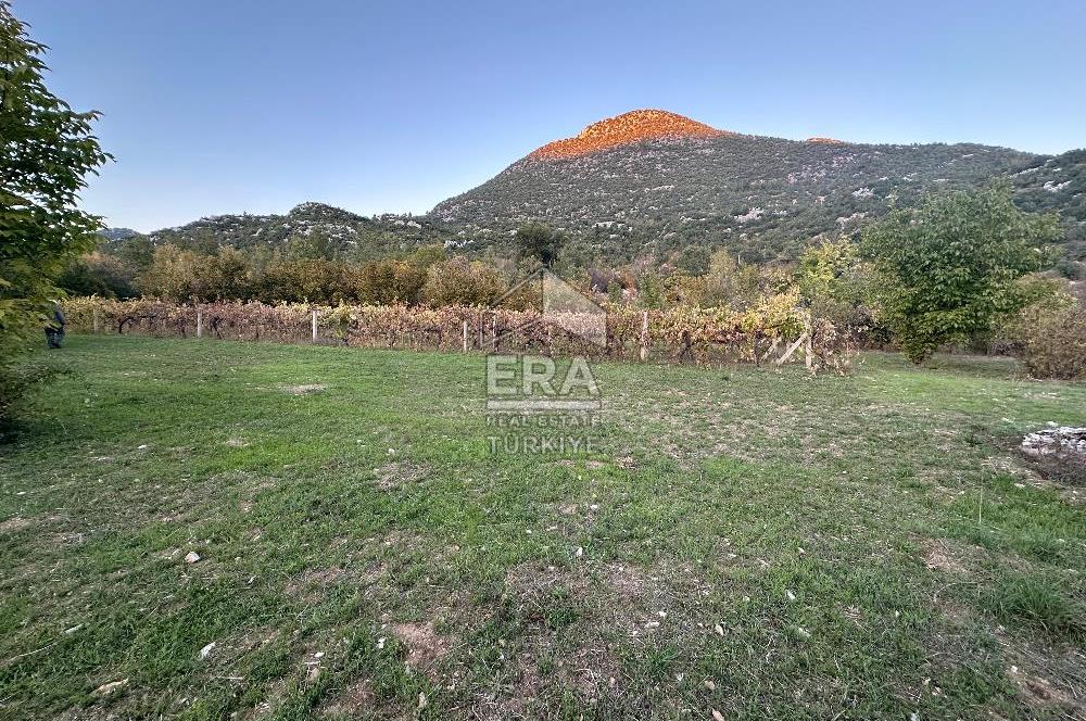 ANTALYA İBRADI YUKARI MAHALLE SATILIK TEK TAPU TARLA