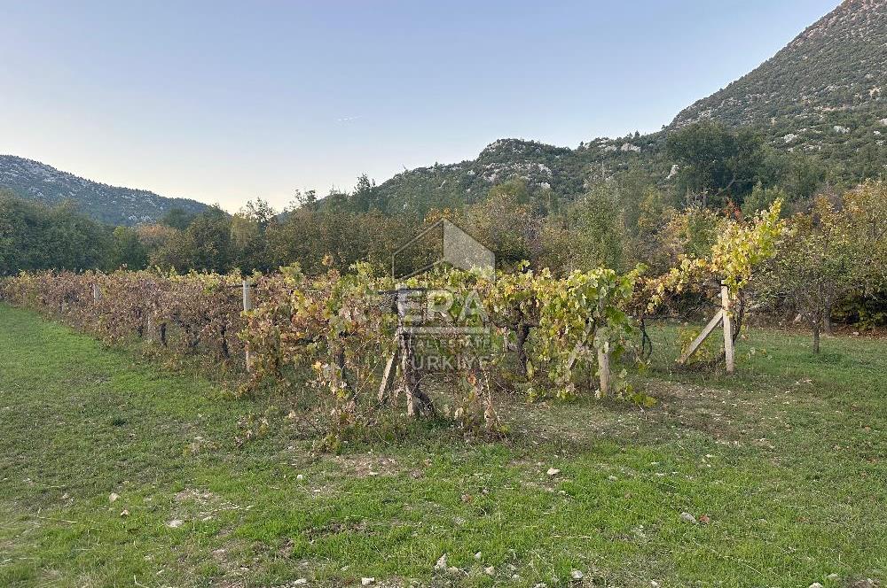 ANTALYA İBRADI YUKARI MAHALLE SATILIK TEK TAPU TARLA