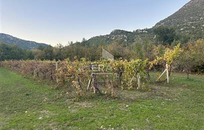 ANTALYA İBRADI YUKARI MAHALLE SATILIK TEK TAPU TARLA