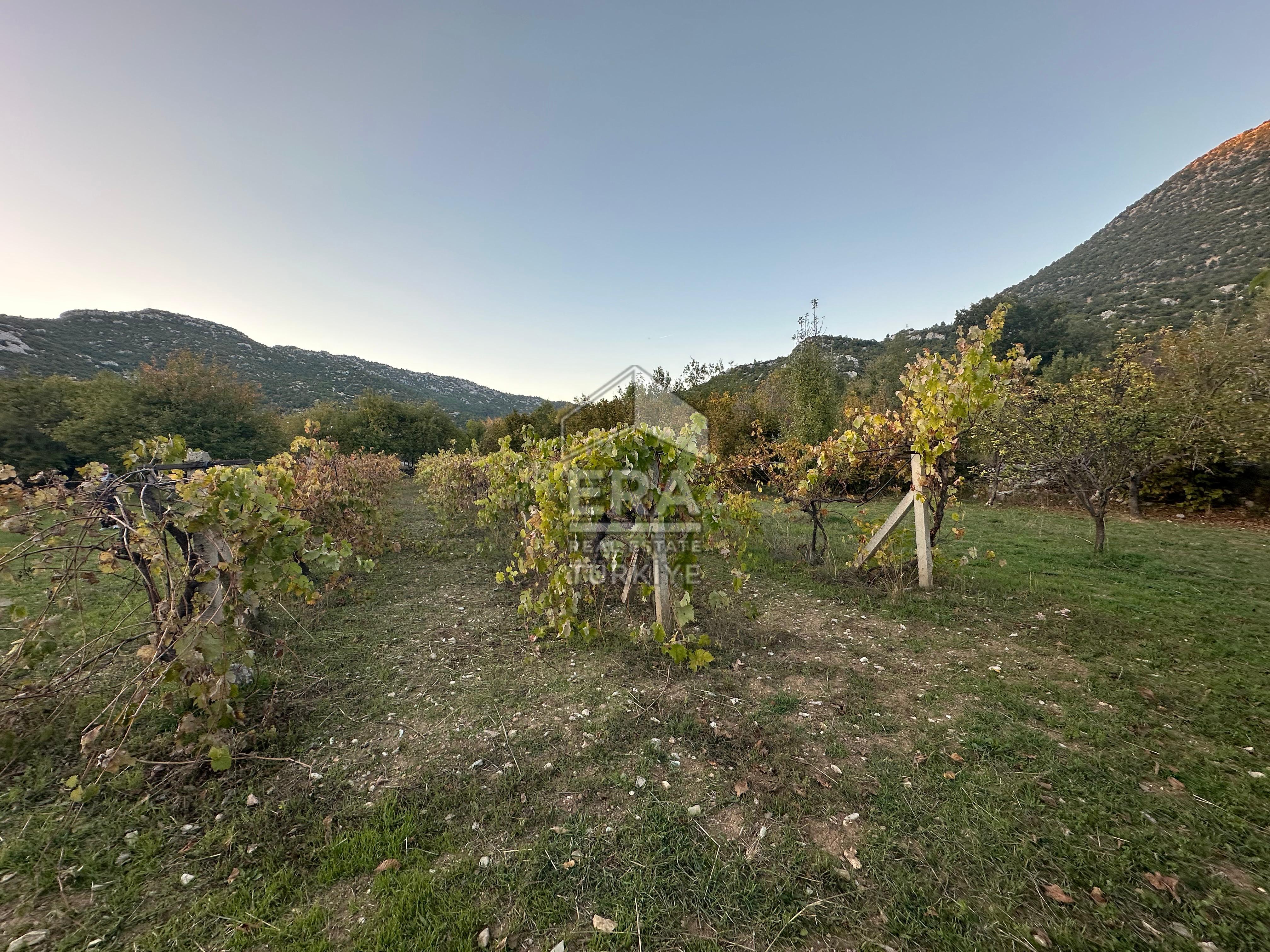 ANTALYA İBRADI YUKARI MAHALLE SATILIK TEK TAPU TARLA