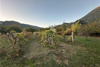 ANTALYA İBRADI YUKARI MAHALLE SATILIK TEK TAPU TARLA - 1 - 13892