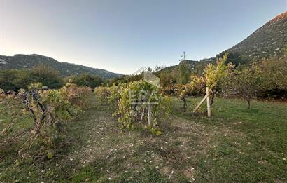 ANTALYA İBRADI YUKARI MAHALLE SATILIK TEK TAPU TARLA