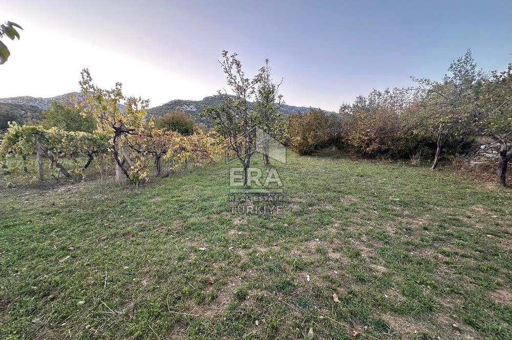 ANTALYA İBRADI YUKARI MAHALLE SATILIK TEK TAPU TARLA