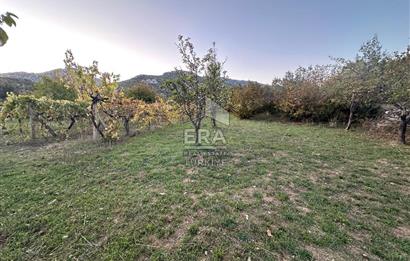 ANTALYA İBRADI YUKARI MAHALLE SATILIK TEK TAPU TARLA