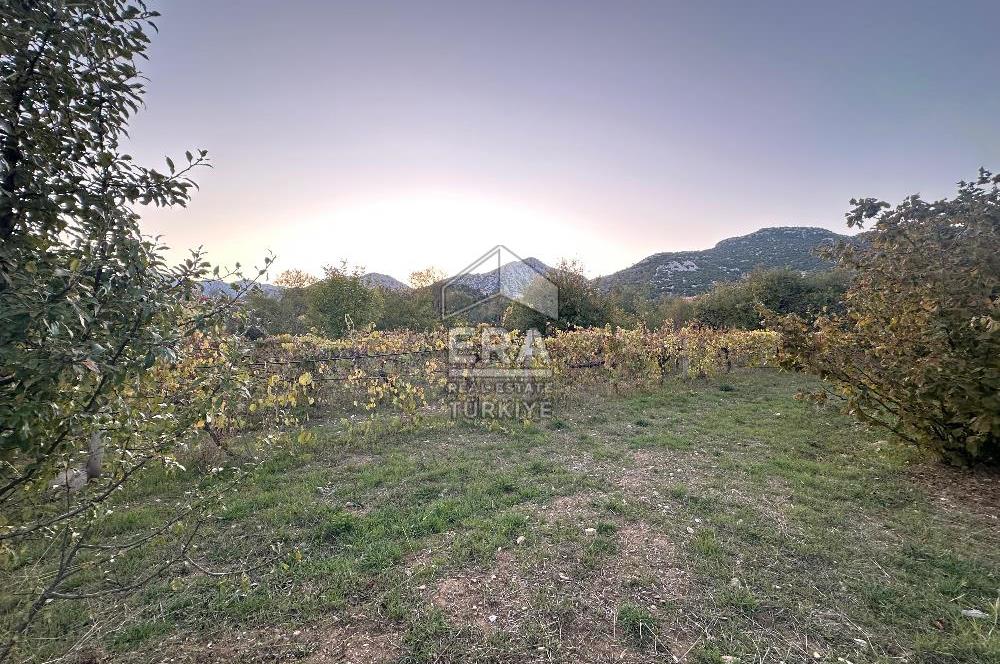 ANTALYA İBRADI YUKARI MAHALLE SATILIK TEK TAPU TARLA