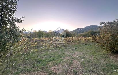 ANTALYA İBRADI YUKARI MAHALLE SATILIK TEK TAPU TARLA