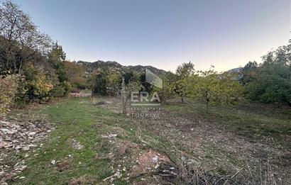 ANTALYA İBRADI YUKARI MAHALLE SATILIK TEK TAPU TARLA