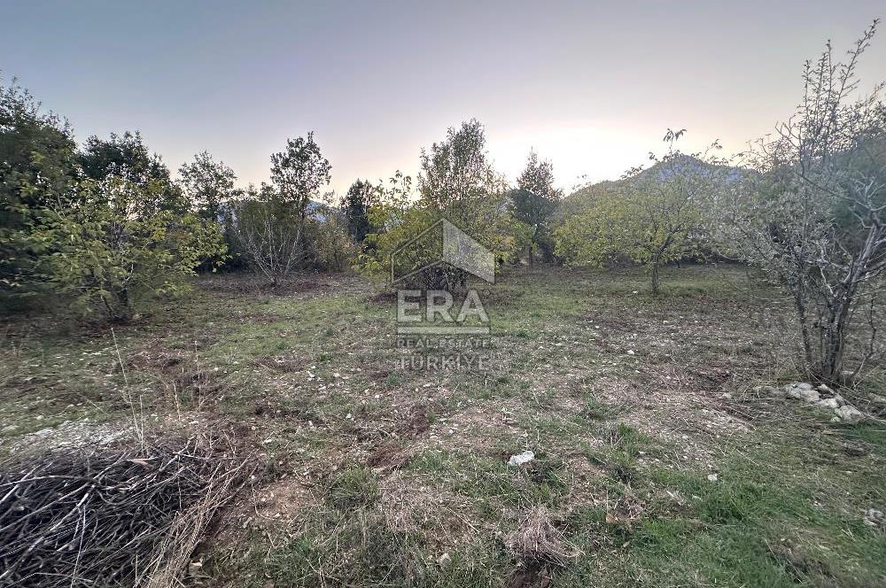 ANTALYA İBRADI YUKARI MAHALLE SATILIK TEK TAPU TARLA