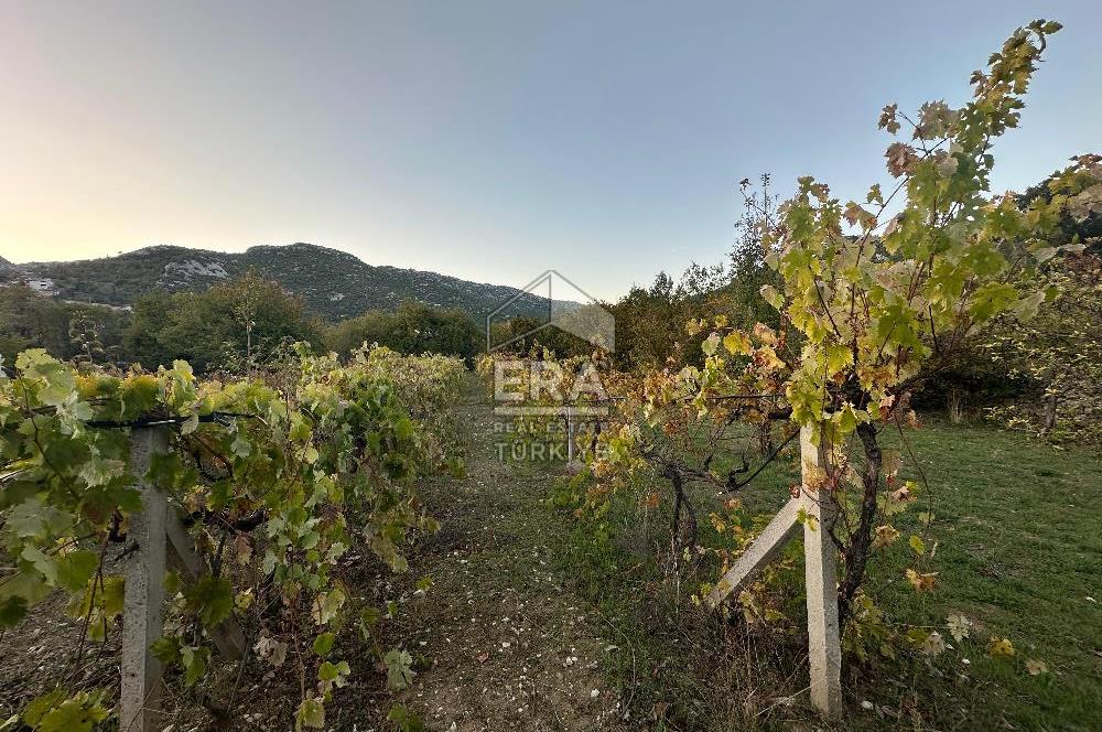 ANTALYA İBRADI YUKARI MAHALLE SATILIK TEK TAPU TARLA