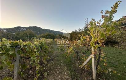 ANTALYA İBRADI YUKARI MAHALLE SATILIK TEK TAPU TARLA