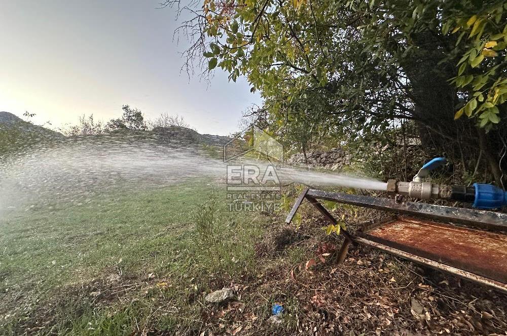 ANTALYA İBRADI YUKARI MAHALLE SATILIK TEK TAPU TARLA