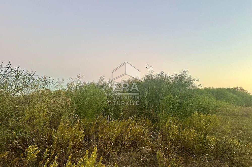 ANTALYA MANAVGAT EVRENSEKİ TURİZM BÖLGESİNDE SATILIK TARLA
