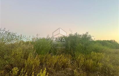 ANTALYA MANAVGAT EVRENSEKİ TURİZM BÖLGESİNDE SATILIK TARLA