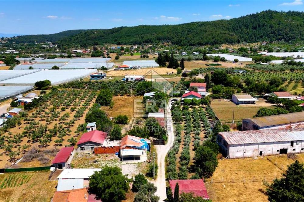 Menderes Değirmendere SATILIK 5.583m2 Tarla/160m2 Havuzlu Villa