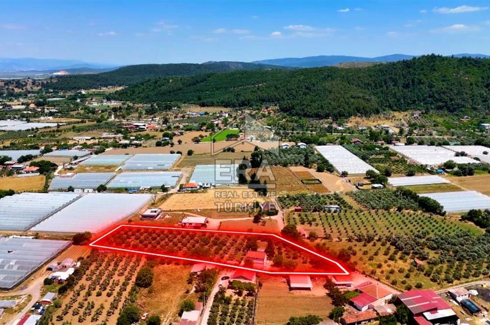 Menderes Değirmendere SATILIK 5.583m2 Tarla/160m2 Havuzlu Villa