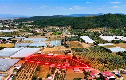 Menderes Değirmendere SATILIK 5.583m2 Tarla/160m2 Havuzlu Villa