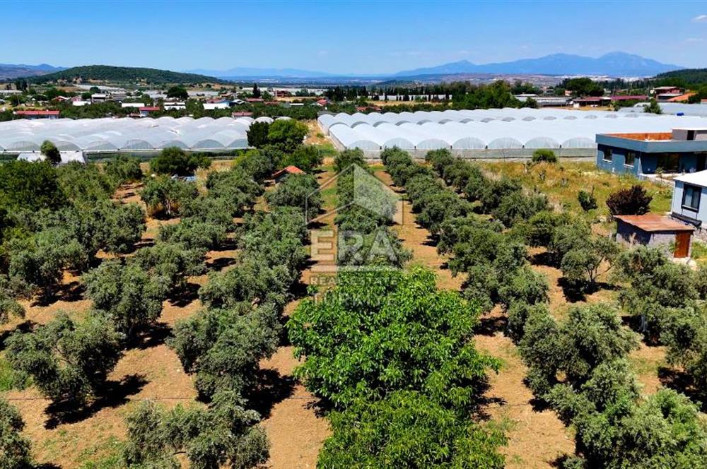 Menderes Değirmendere SATILIK 5.583m2 Tarla/160m2 Havuzlu Villa