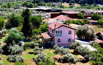 Menderes Değirmendere SATILIK 5.583m2 Tarla/160m2 Havuzlu Villa