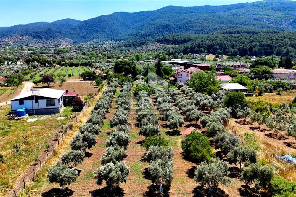 Menderes Değirmendere SATILIK 5.583m2 Tarla/160m2 Havuzlu Villa