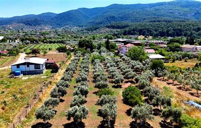 Menderes Değirmendere SATILIK 5.583m2 Tarla/160m2 Havuzlu Villa
