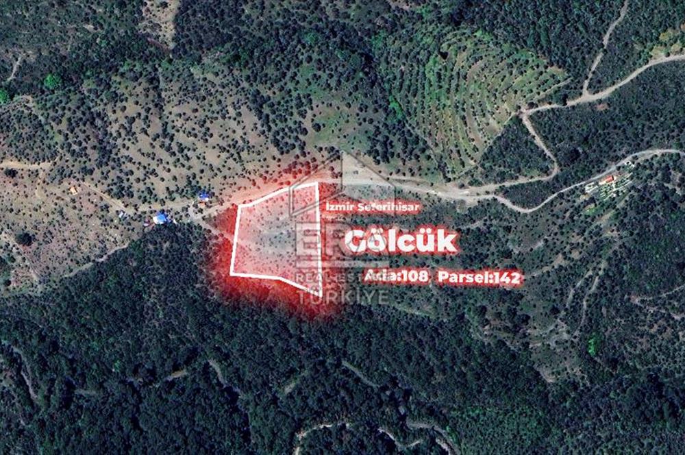İzmir Seferihisar Gölcük 10.003 m² Satılık Zeytinlik
