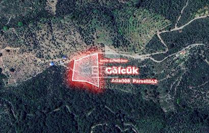 İzmir Seferihisar Gölcük 10.003 m² Satılık Zeytinlik