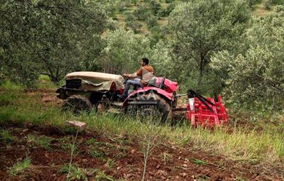 ERA ANGEL’dan – 13.152 m² Deniz Manzaralı Zeytinlik – Pelitköy Kuşça