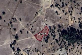 Denizli Çameli Ayvacık Mahallesinde Yatırımlık Satılık Arazi - 1 - 13935