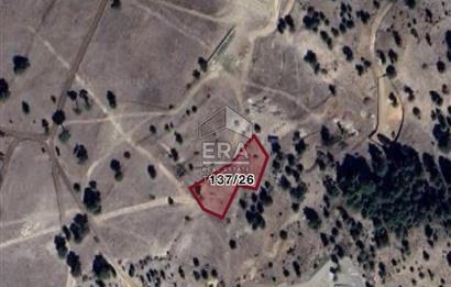 Denizli Çameli Ayvacık Mahallesinde Yatırımlık Satılık Arazi