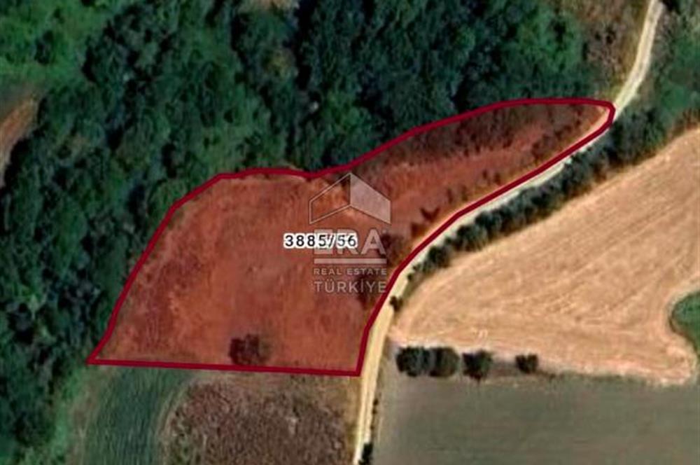 SİLİVRİ ORTAKÖYDE MÜSTAKİL TARLA TEK TAPU