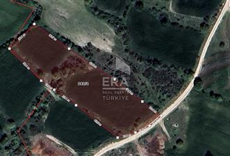 ERA SÖZ'DEN BALIKESİR PAMUKÇU MAHALLESİNDE SATILIK TARLA - 2 - 14054