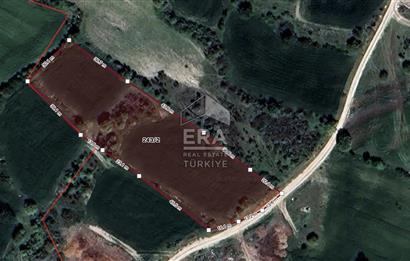 ERA SÖZ'DEN BALIKESİR PAMUKÇU MAHALLESİNDE SATILIK TARLA