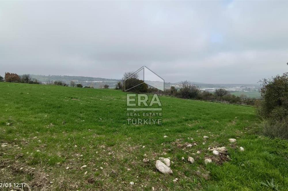 ERA SÖZ'DEN BALIKESİR PAMUKÇU MAHALLESİNDE SATILIK TARLA