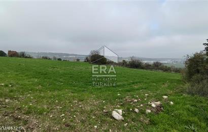 ERA SÖZ'DEN BALIKESİR PAMUKÇU MAHALLESİNDE SATILIK TARLA